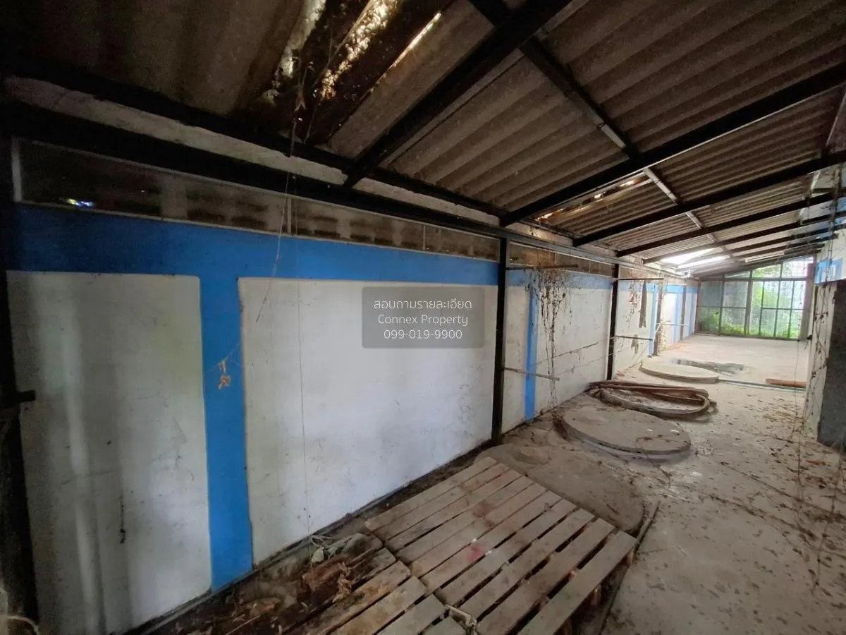 ขายบ้านเดี่ยว ซอย มาบยายเลีย 1 หนองปรือ บางละมุง ชลบุรี CX-85461