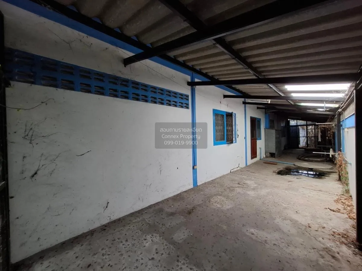 ขายบ้านเดี่ยว ซอย มาบยายเลีย 1 หนองปรือ บางละมุง ชลบุรี CX-85461