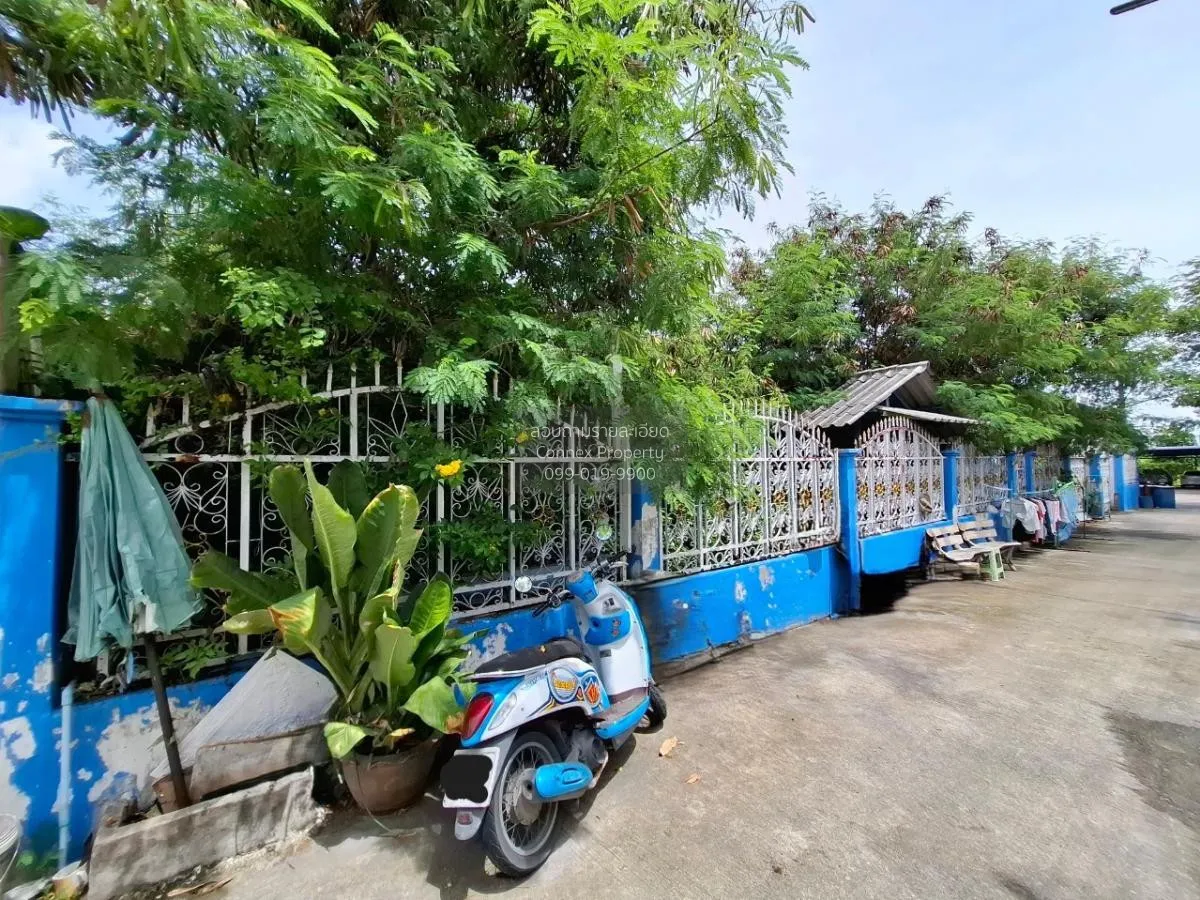 ขายบ้านเดี่ยว ซอย มาบยายเลีย 1 หนองปรือ บางละมุง ชลบุรี CX-85461 3