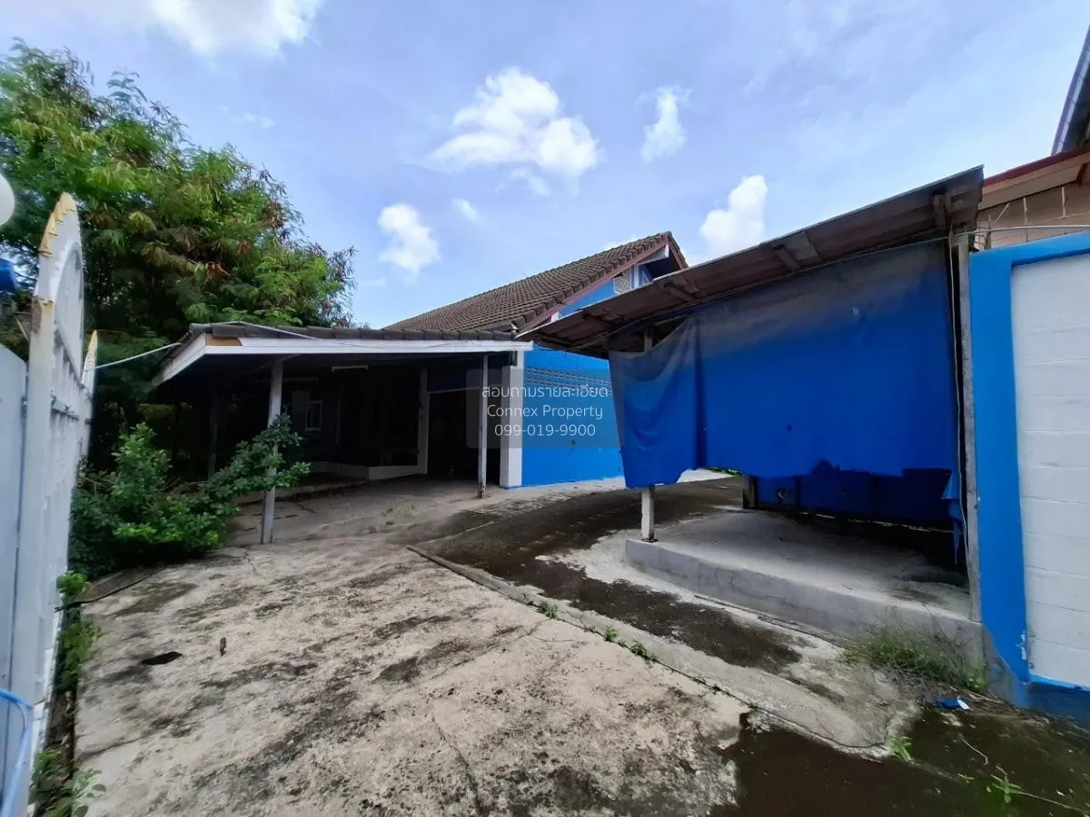 ขายบ้านเดี่ยว ซอย มาบยายเลีย 1 หนองปรือ บางละมุง ชลบุรี CX-85461 4