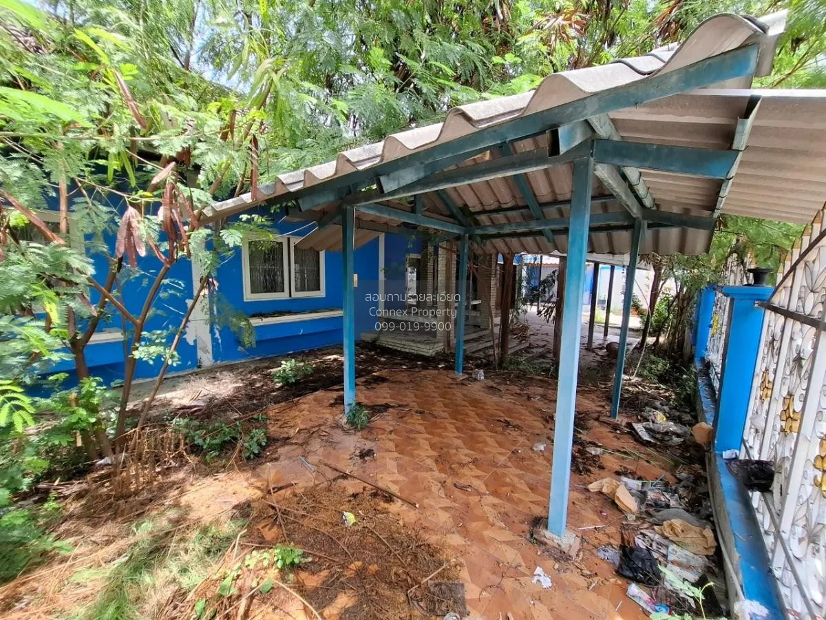 ขายบ้านเดี่ยว ซอย มาบยายเลีย 1 หนองปรือ บางละมุง ชลบุรี CX-85461