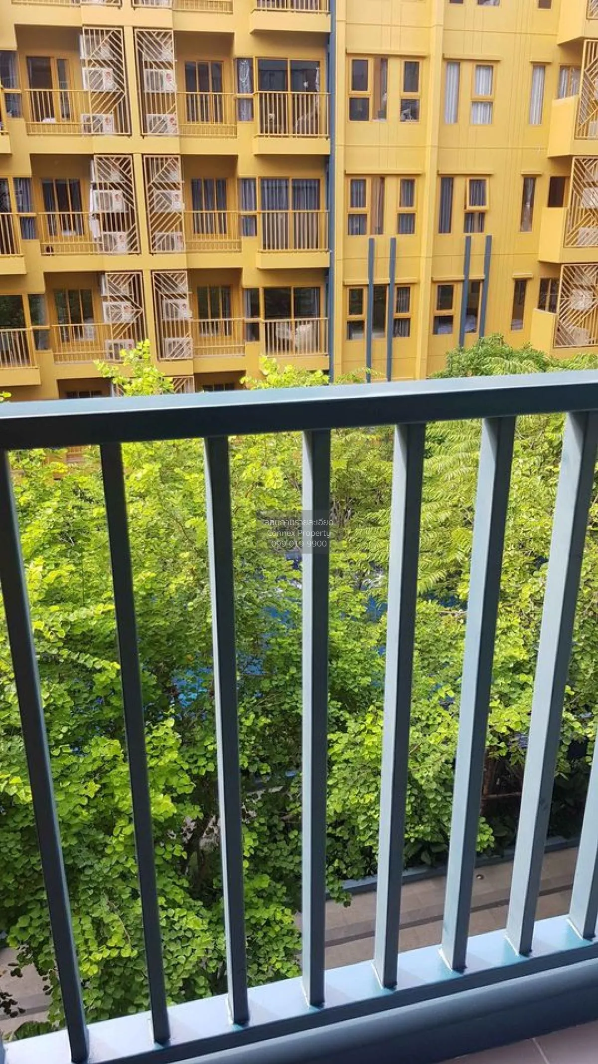 For Rent Condo , The Base Sukhumvit 50 , BTS-On Nut , Phra Khanon