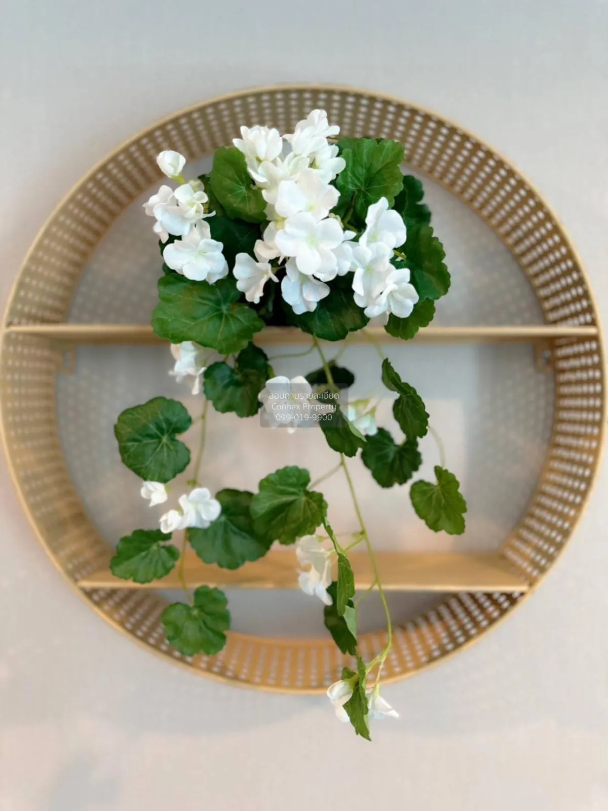 เช่าคอนโด  เมโทร สกาย ประชาชื่น  MRT-บางซ่อน วงศ์สว่าง เขต บางซื่