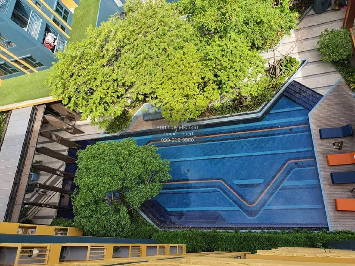 For Rent Condo , The Base Sukhumvit 50 , BTS-On Nut , Phra Khanon