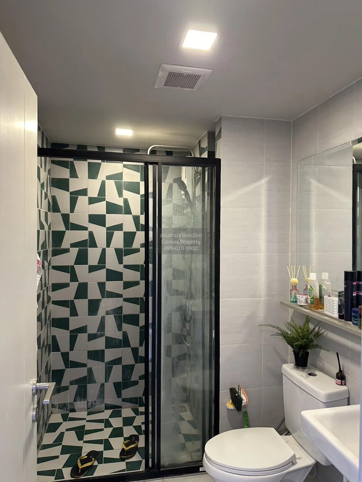 For Rent Condo , The Base Sukhumvit 50 , BTS-On Nut , Phra Khanon