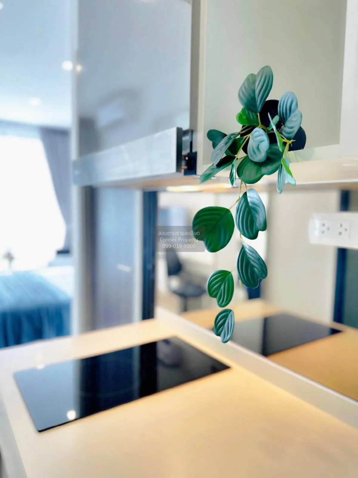 For Rent Condo , The Rich Rama 9 - Srinakarin , ARL-Hua Mak , Sua