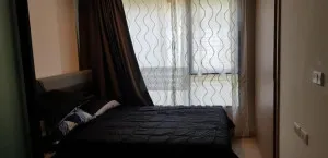 For Rent Condo , Niche Mono Sukhumvit 50 , BTS-On Nut , Phra Khanong , Khlong Toei , Bangkok , CX-86634