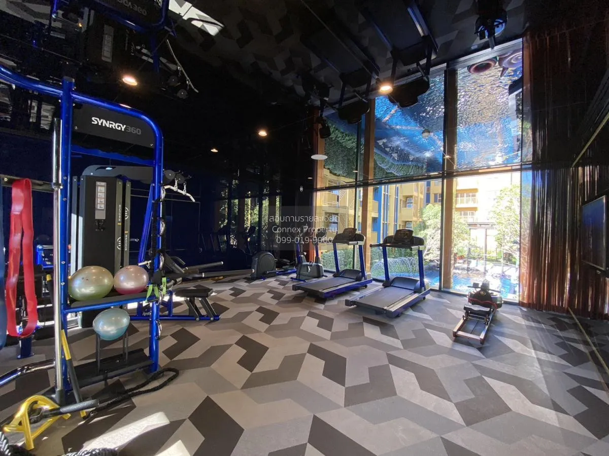 For Rent Condo , The Base Sukhumvit 50 , BTS-On Nut , Phra Khanon