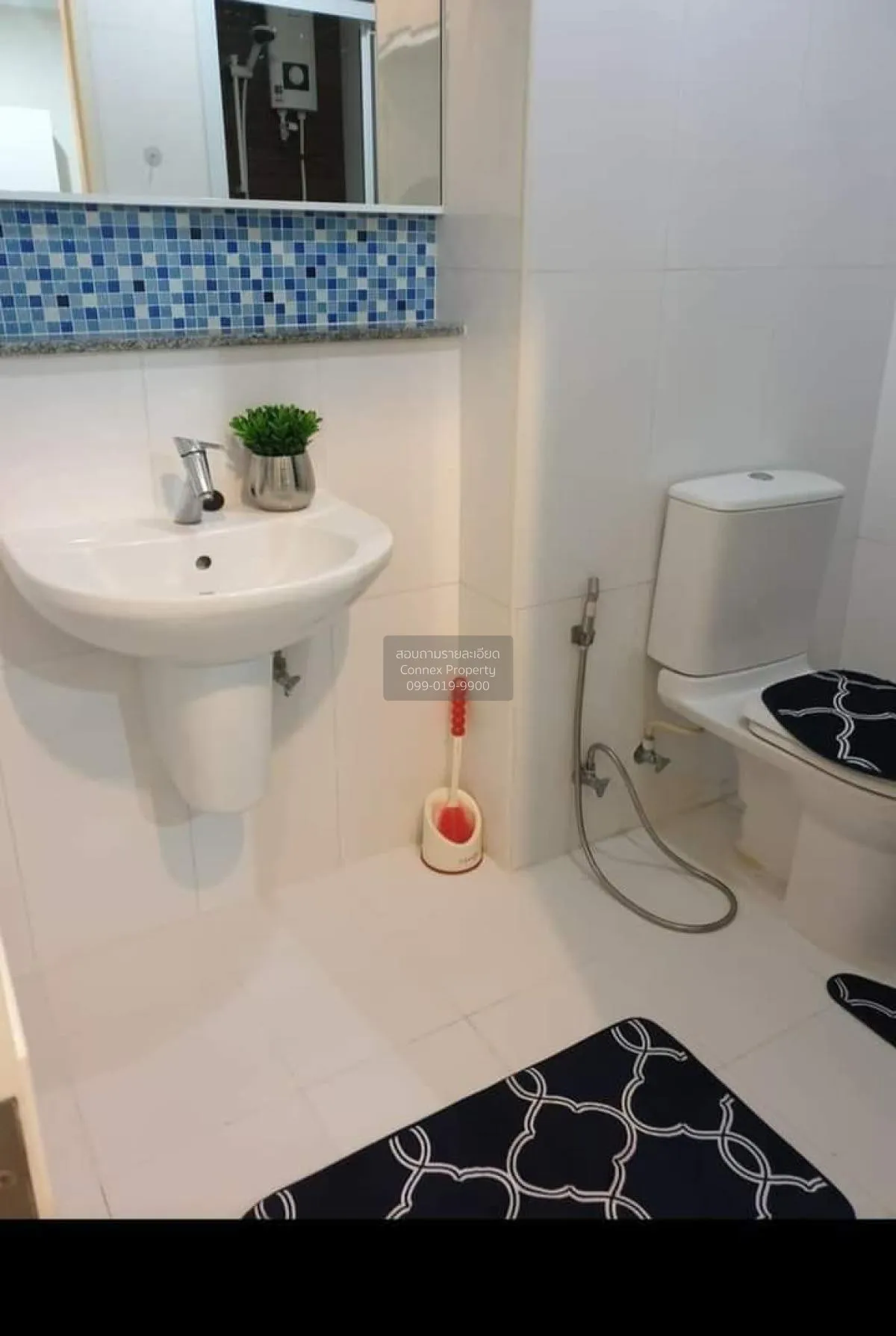 For Rent Condo , @ City Sukhumvit 101/1 , BTS-Punnawithi , Bang C