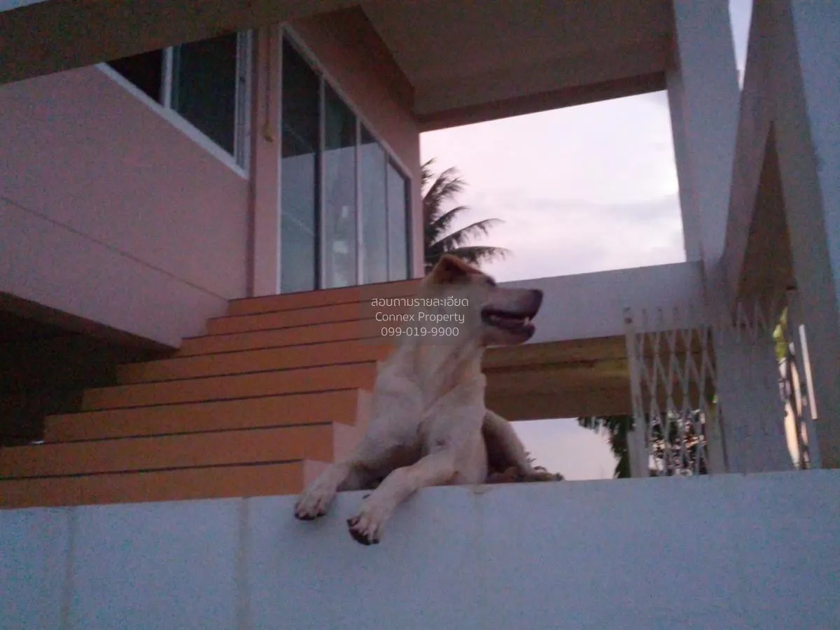 ขายบ้าน พร้อมที่ดิน ติดถนน ชนบท 4066 กาญจนบุรี วิวสวย วิวแม่น้ำ ห