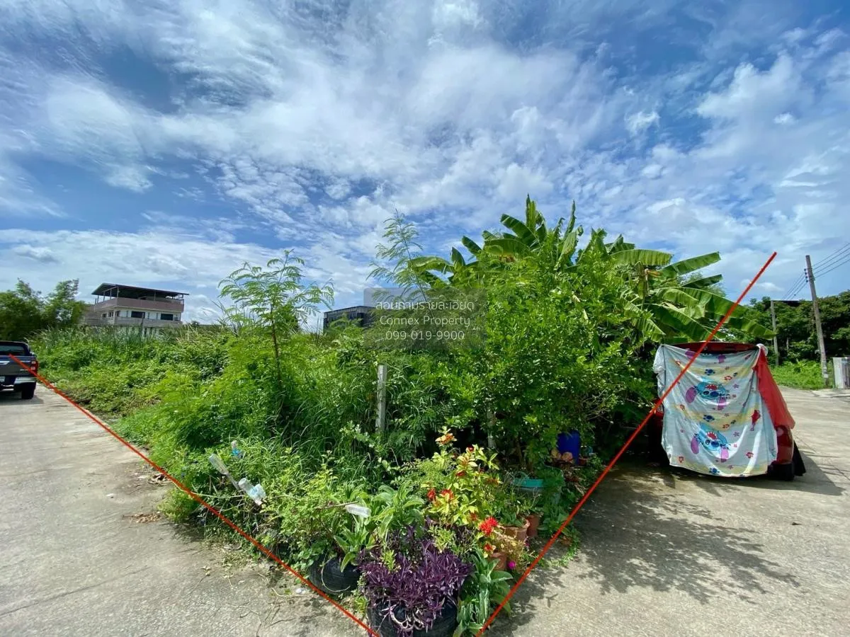 For Sale Land , Than Thong Village 2 , Bang Rak Phatthana , Bang  1