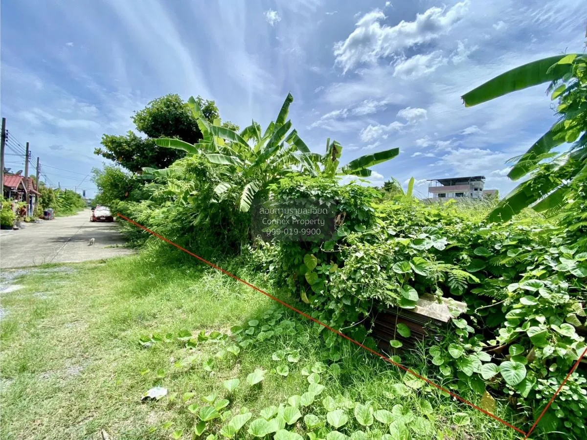 For Sale Land , Than Thong Village 2 , Bang Rak Phatthana , Bang  2