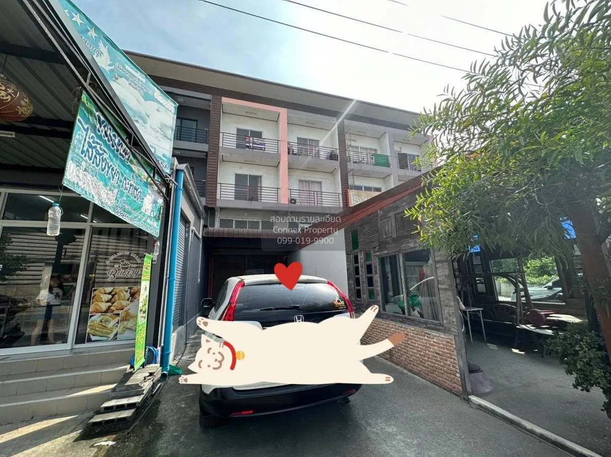 For Sale Commercial building, Phra Nakhon Si Ayutthaya , wide fro 1