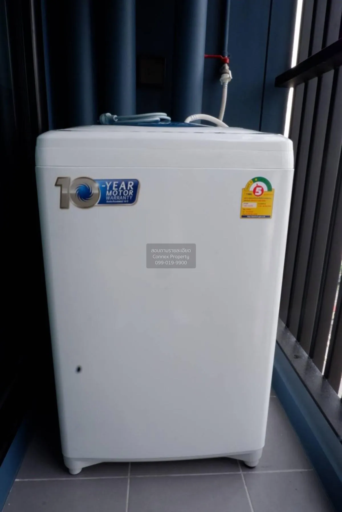 For Rent Condo , The Tree Sukhumvit 71 , ARL-Ramkhamhaeng , Suan 