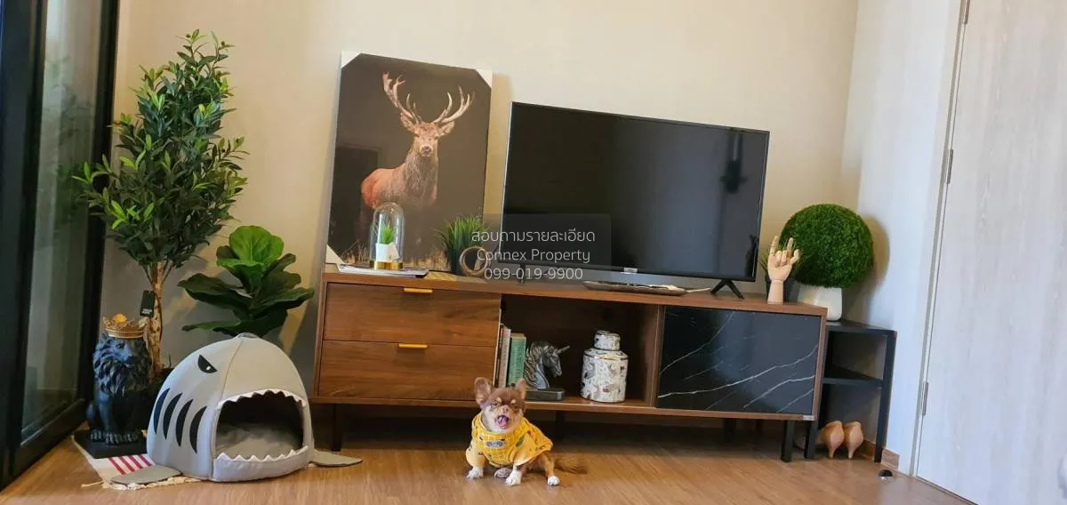 For Rent Condo , Metris Rama 9 - Ramkhamhaeng , ARL-Ramkhamhaeng  2