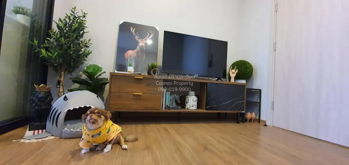 For Rent Condo , Metris Rama 9 - Ramkhamhaeng , ARL-Ramkhamhaeng  3