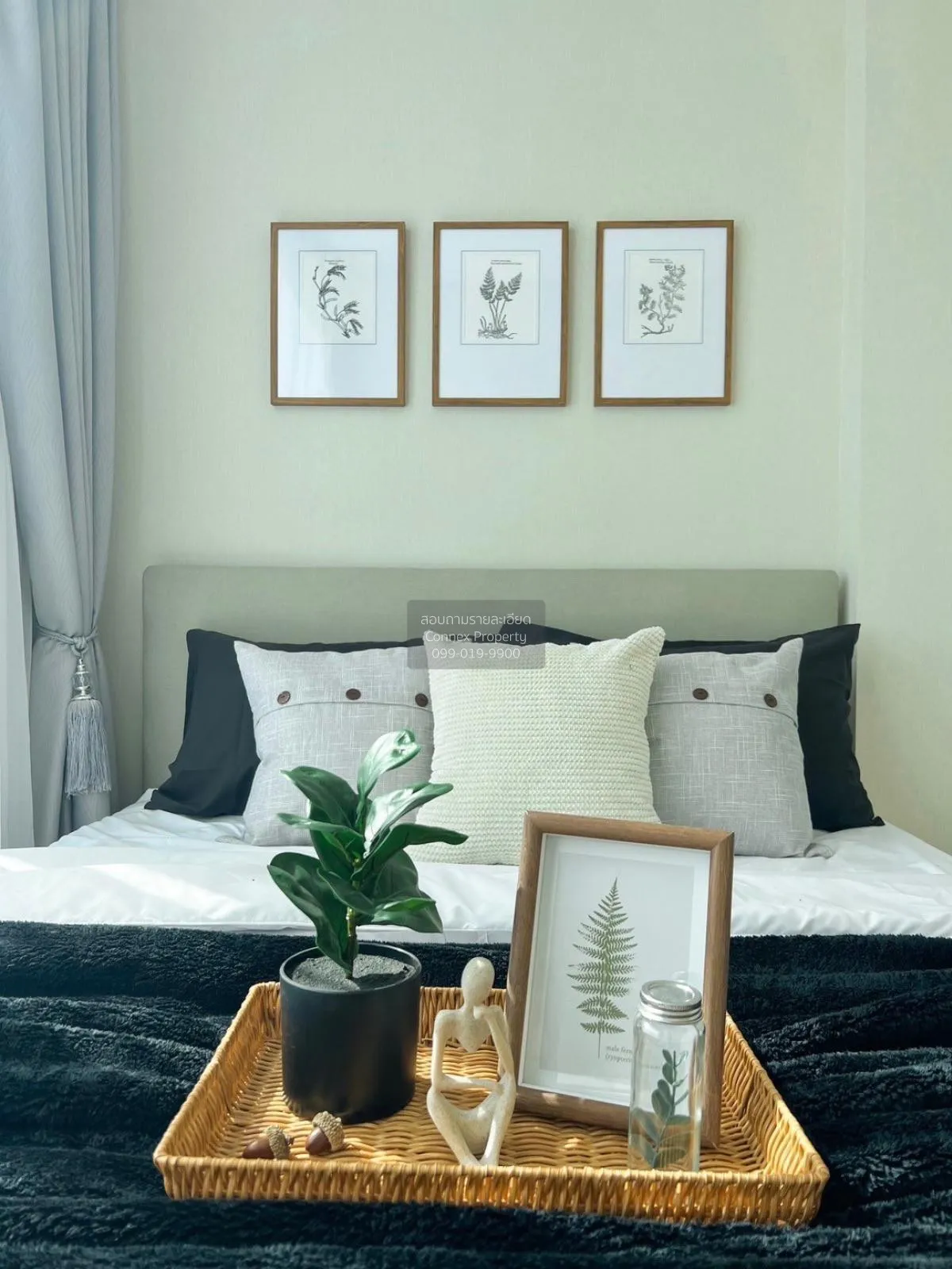 For Rent Condo , The Sky Sukhumvit , BTS-Udom Suk , Bang Na , Ban