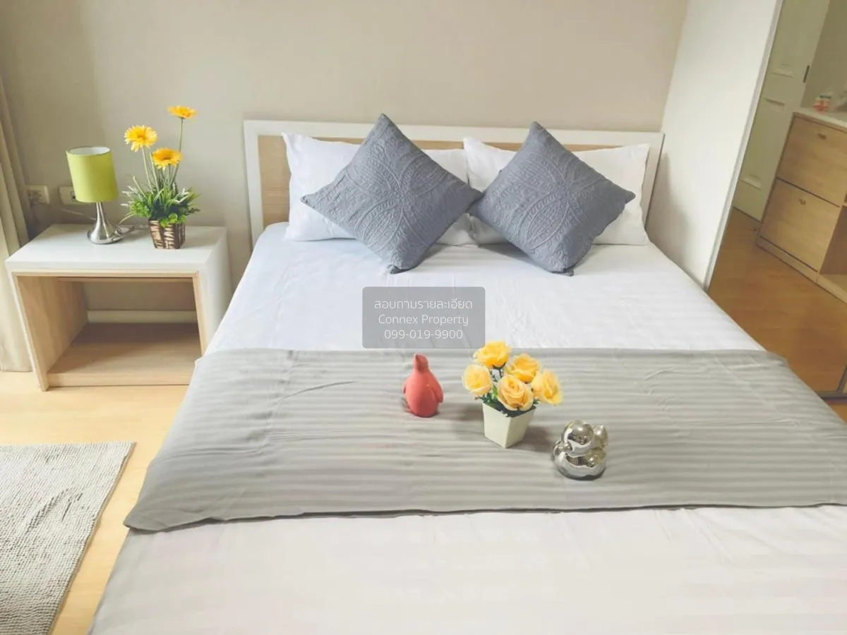 For Rent Condo , My Condo Sukhumvit 52 , BTS-On Nut , Bang Chak , 2