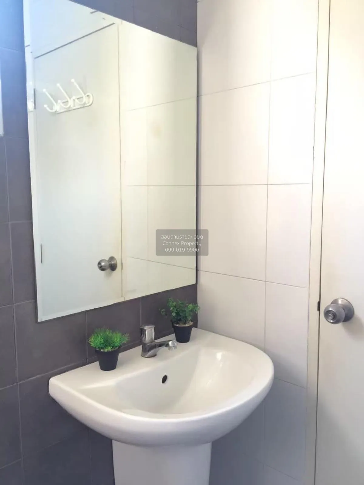 For Rent Condo , My Condo Sukhumvit 52 , BTS-On Nut , Bang Chak ,