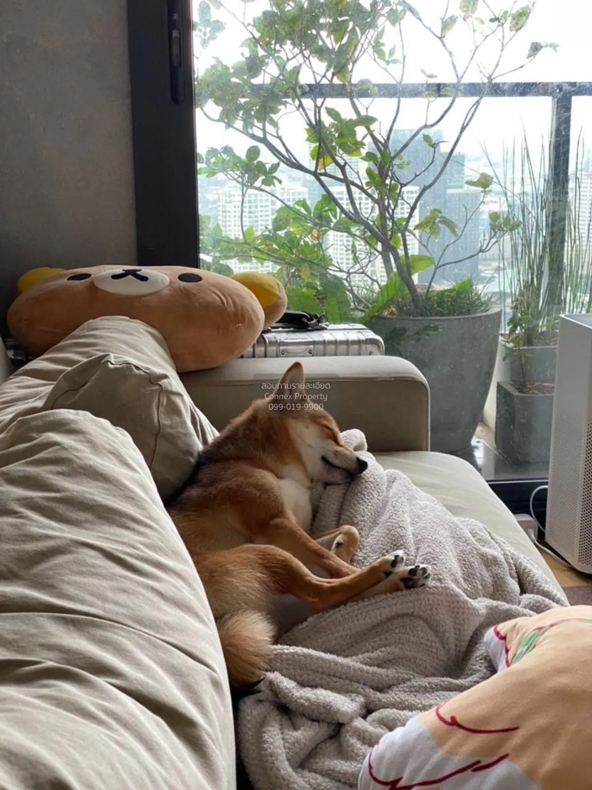 For Sale Condo , M Ladprao , BTS-Ha Yaek Lat Phrao , Chomphon , C 3