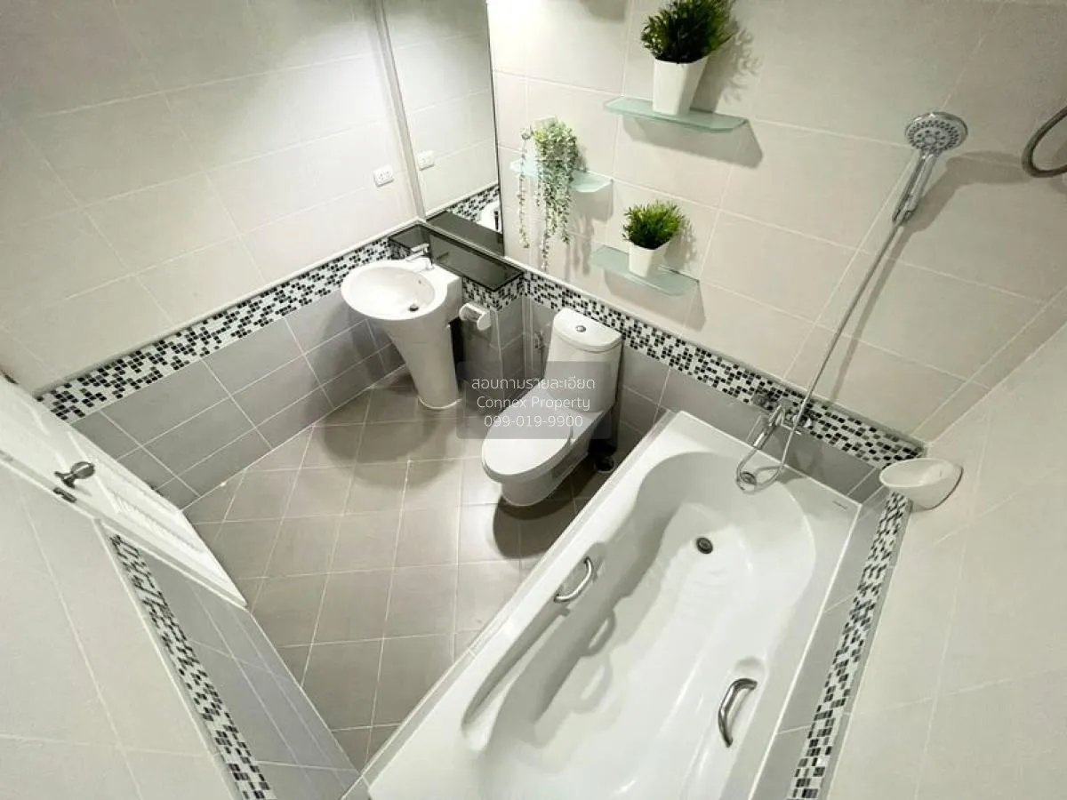 เช่าคอนโด  เดอะ วอเตอร์ฟอร์ด สุขุมวิท 50 BTS-พระโขนง พระโขนง เขต 