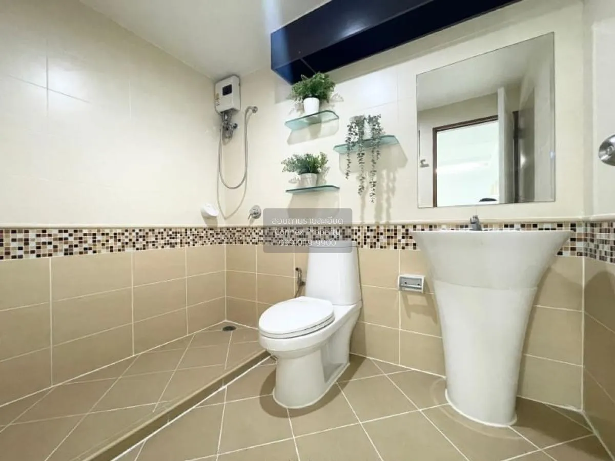 เช่าคอนโด  เดอะ วอเตอร์ฟอร์ด สุขุมวิท 50 BTS-พระโขนง พระโขนง เขต 