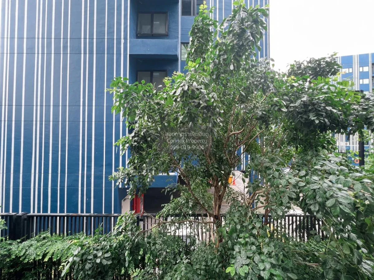 เช่าคอนโด  ชีวาทัย ฮอลล์มาร์ค ลาดพร้าว-โชคชัย 4 MRT-โชคชัย 4 (สาย