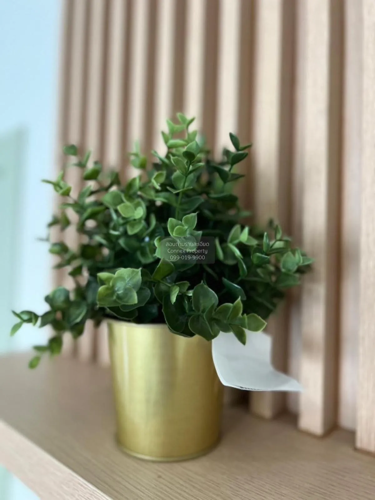 For Sale Condo , Regent Orchid Sukhumvit 101 , BTS-Punnawithi , B