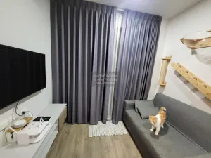 For Sale Condo , BRIXTON Pet Play Sukhumvit 107 , BTS-Bearing , Samrong Nuea , Mueang Samut Prakan , Samut Prakarn , CX-89254