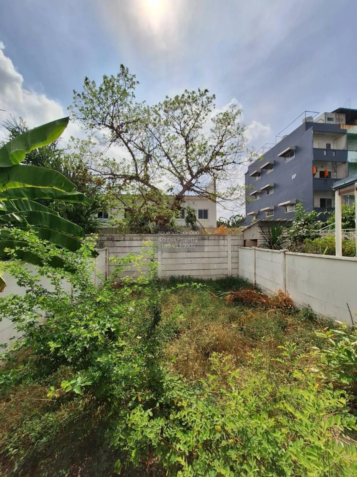 ขายทาวน์เฮ้าส์/ทาวน์โฮม  พลีโน่ รัตนาธิเบศร์ – ชัยพฤกษ์ พิมลราช บ