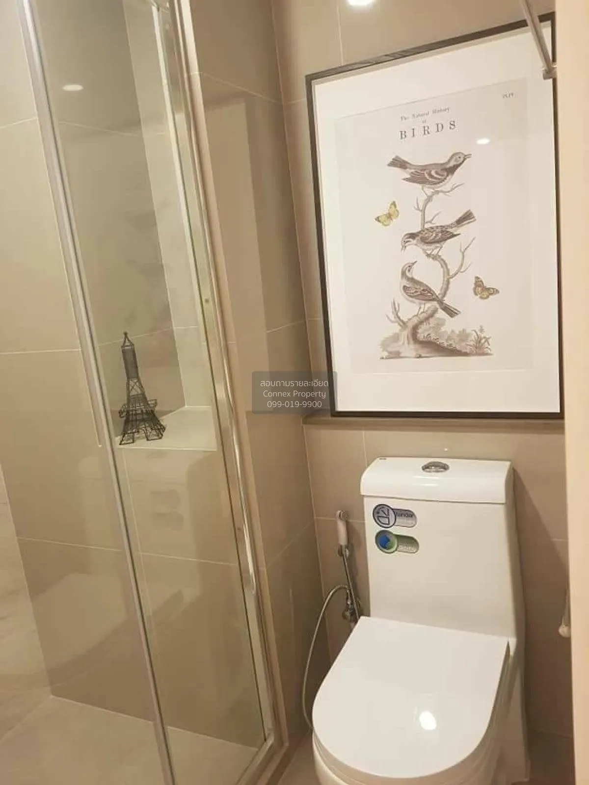 For Sale Condo , The Tree Sukhumvit 71 , ARL-Ramkhamhaeng , Suan 