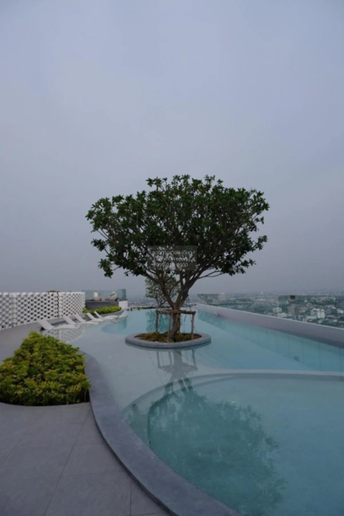 For Rent Condo , The Tree Sukhumvit 71 , ARL-Ramkhamhaeng , Suan  4