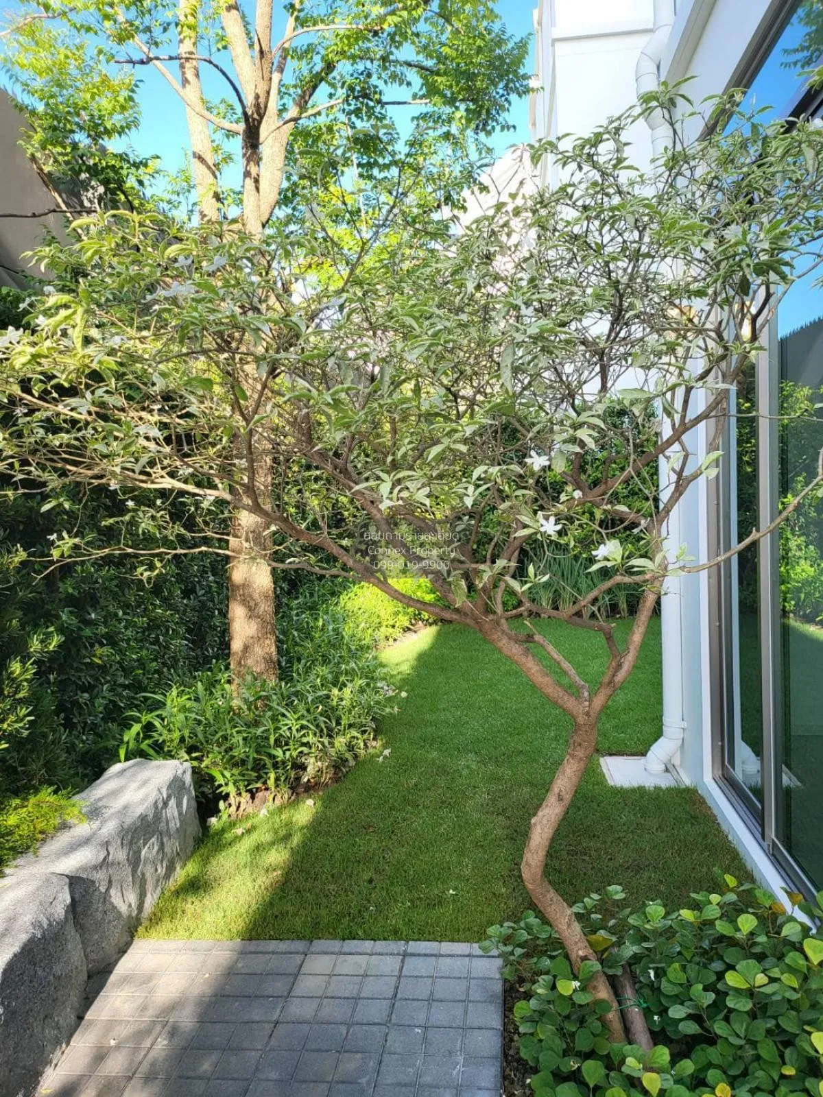 เช่าบ้าน  วีเว่ พระราม 9 MRT-ศรีกรีฑา (สายสีเหลือง) ทับช้าง เขต ส