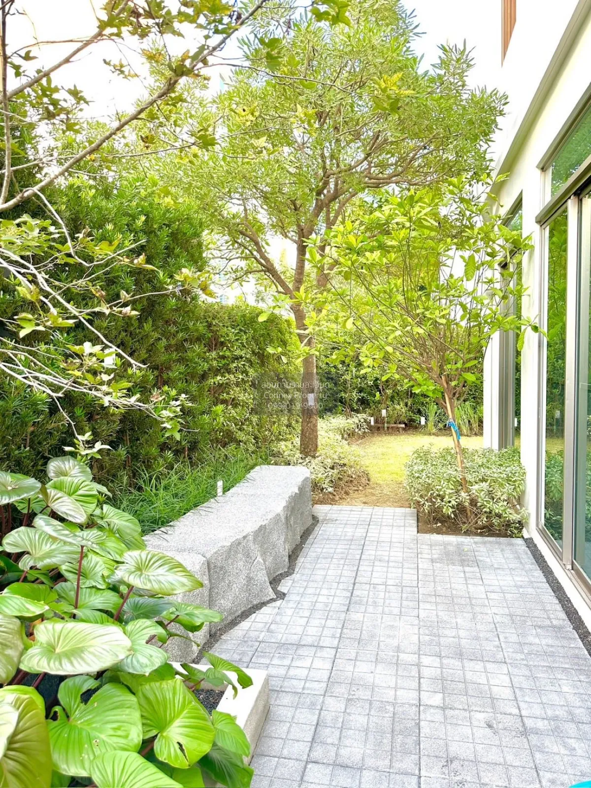 เช่าบ้าน  วีเว่ พระราม 9 MRT-ศรีกรีฑา (สายสีเหลือง) ทับช้าง เขต ส