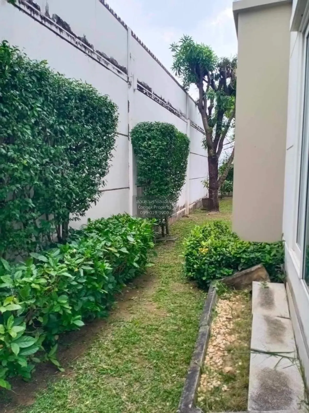 ขายบ้าน  ชัยพฤกษ์ รามอินทรา-วงแหวน 2 หน้ากว้าง บางชัน เขต คลองสาม