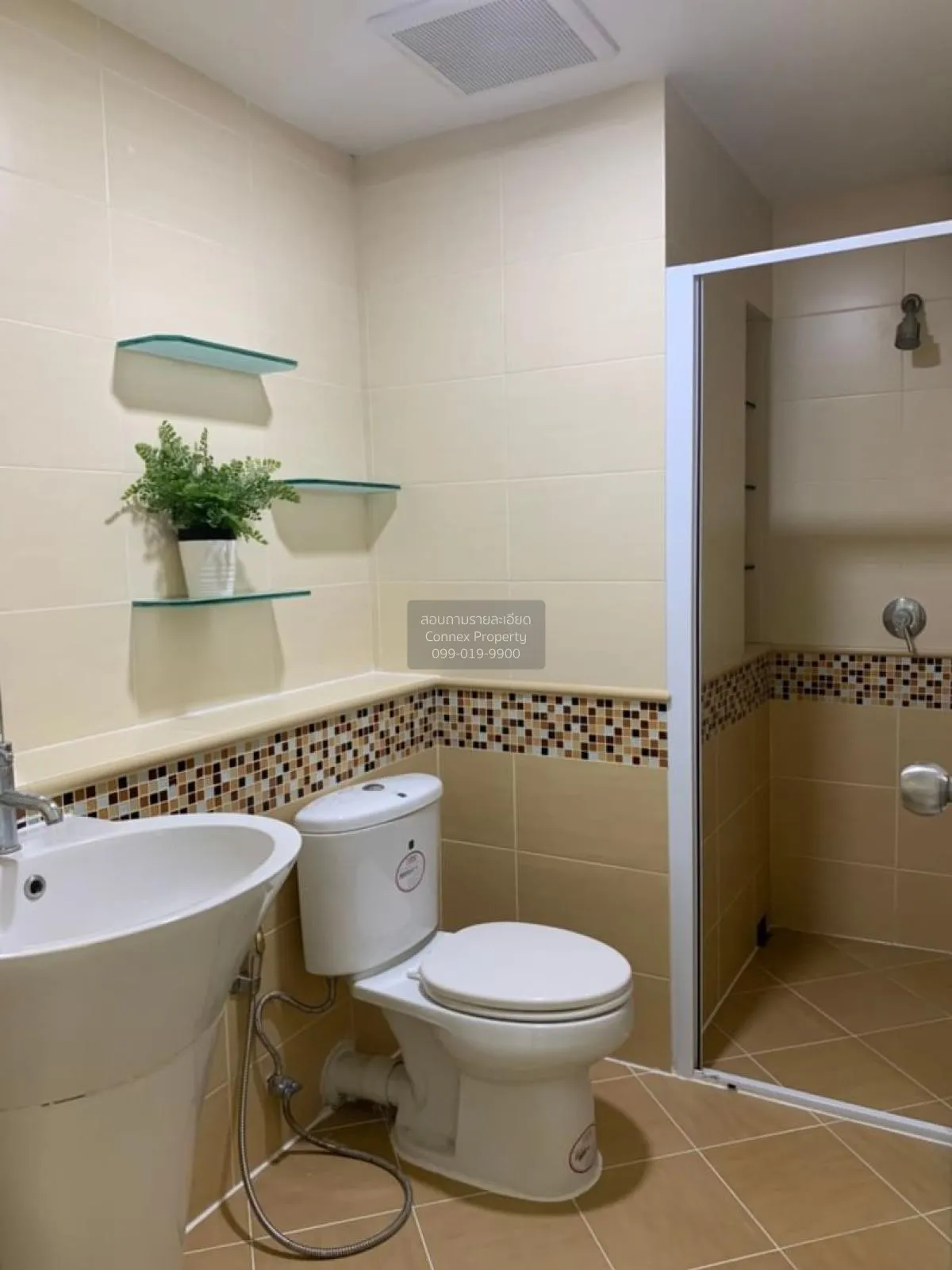 เช่าคอนโด  เดอะ วอเตอร์ฟอร์ด สุขุมวิท 50 BTS-พระโขนง พระโขนง เขต 