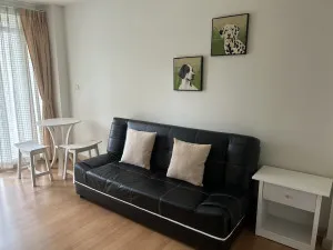 For Rent Condo , The Link Sukhumvit 50 , BTS-On Nut , Phra Khanong , Khlong Toei , Bangkok , CX-90617