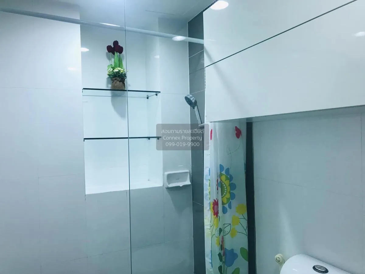 เช่าคอนโด  แคสเซีย สุขุมวิท 107 ห้องมุม BTS-แบริ่ง สำโรงเหนือ เมื