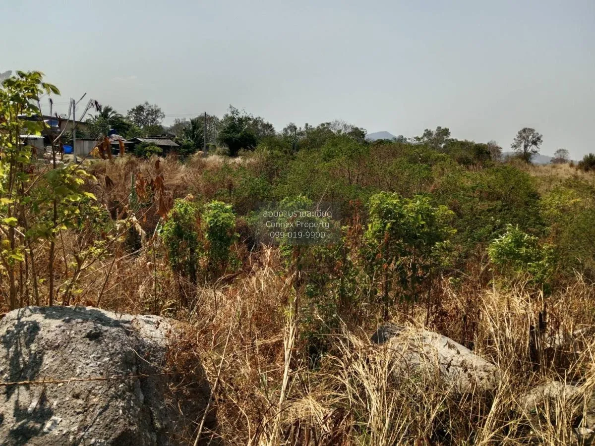 ขายที่ดินเปล่า ศรีราชา ชลบุรี ซอย สนิททยาน หนองขาม ศรีราชา ชลบุรี