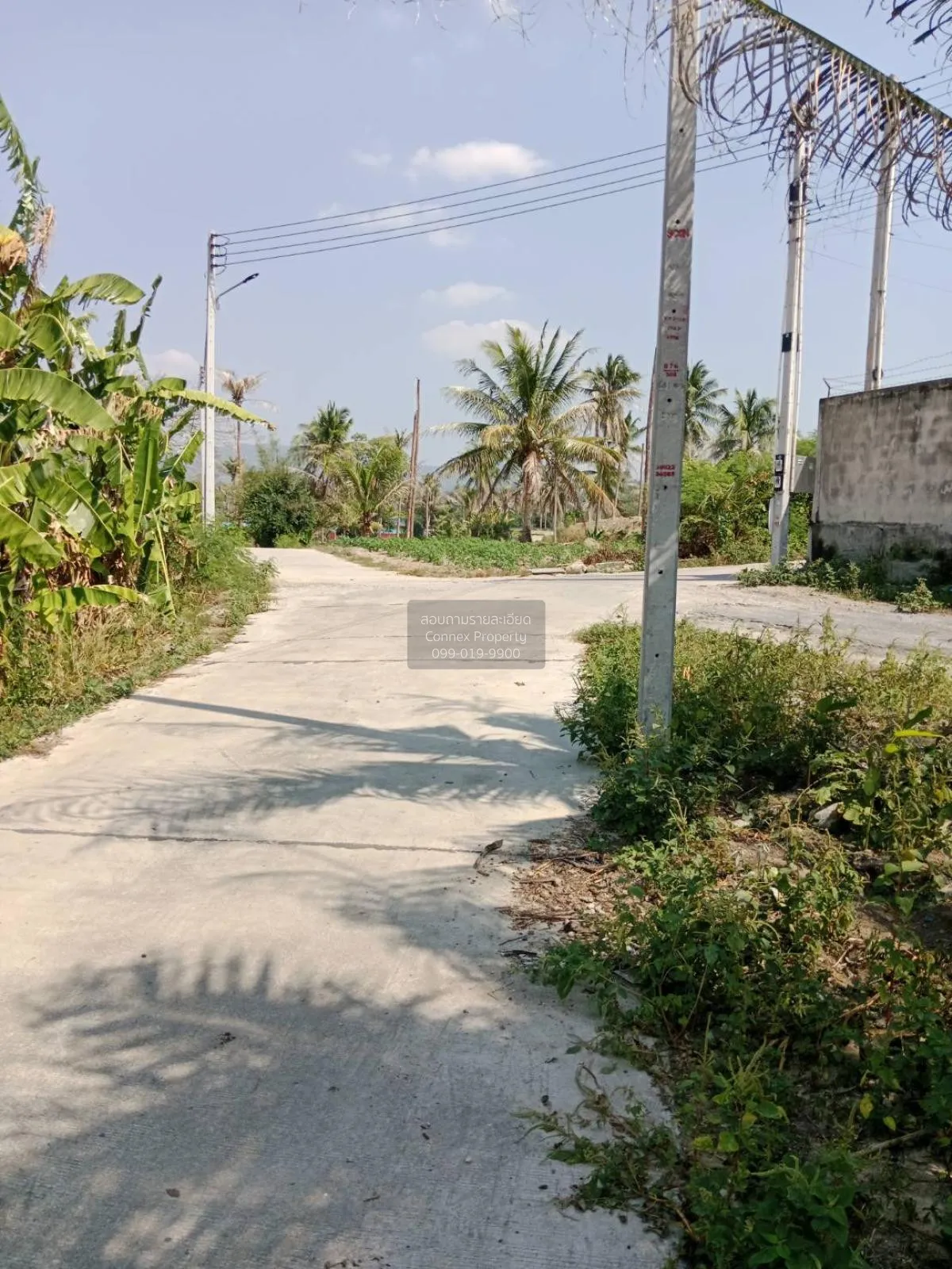 ขายที่ดินเปล่า ศรีราชา ชลบุรี ซอย สนิททยาน หนองขาม ศรีราชา ชลบุรี 1