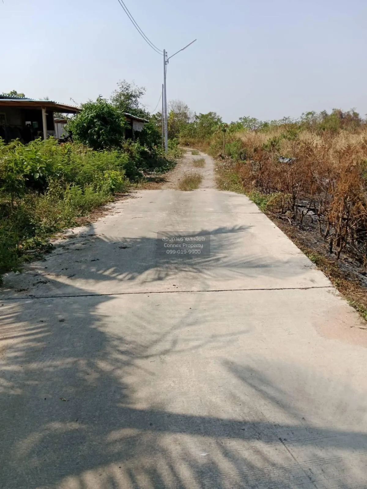 ขายที่ดินเปล่า ศรีราชา ชลบุรี ซอย สนิททยาน หนองขาม ศรีราชา ชลบุรี 2