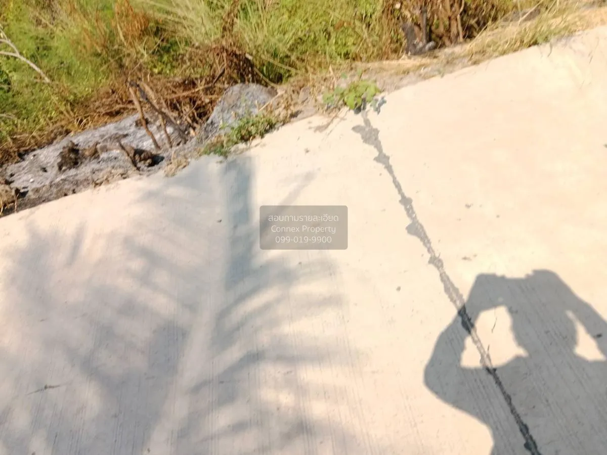 ขายที่ดินเปล่า ศรีราชา ชลบุรี ซอย สนิททยาน หนองขาม ศรีราชา ชลบุรี 3