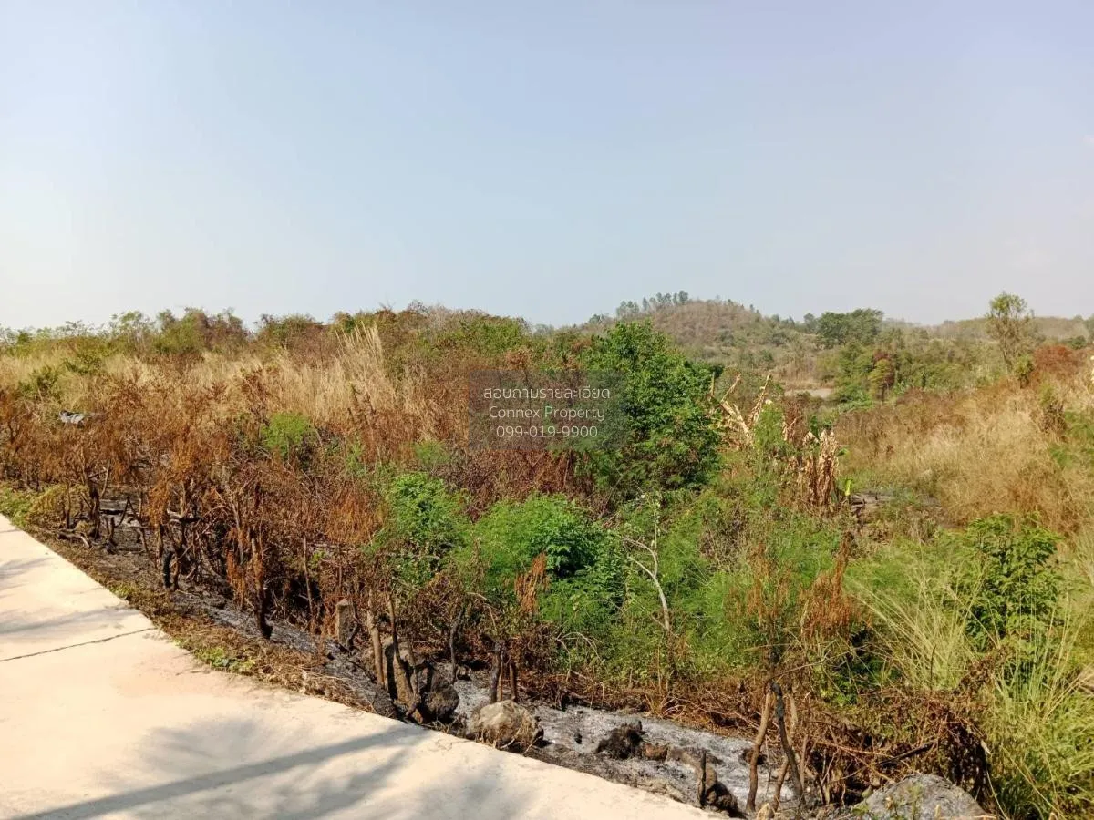 ขายที่ดินเปล่า ศรีราชา ชลบุรี ซอย สนิททยาน หนองขาม ศรีราชา ชลบุรี 4