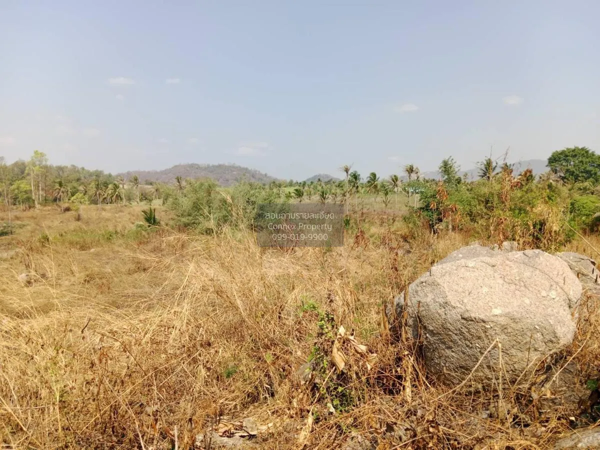 ขายที่ดินเปล่า ศรีราชา ชลบุรี ซอย สนิททยาน หนองขาม ศรีราชา ชลบุรี