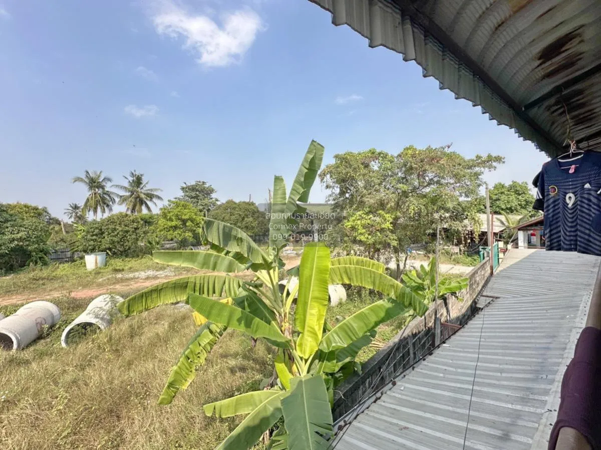 For Sale Apartments and houses in Nong Khaem District , Nong Khae