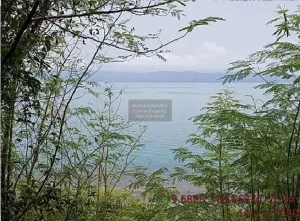 For Sale Vacant Land Phangan Island Surat Thani , river view , wide frontage , Ban Tai , Ko Pha-ngan , Surat Thani , CX-91409