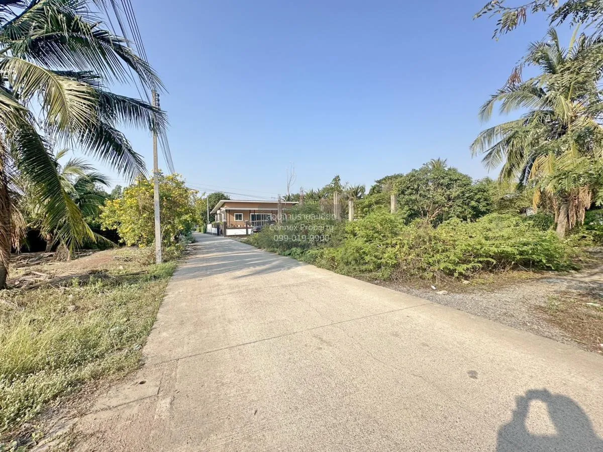 For Sale Land 180 square wah, Sam Phran District , Khlong Mai , S