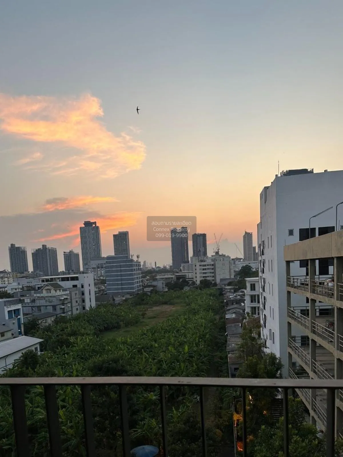 เช่าคอนโด  ไอคอน สุขุมวิท 77 BTS-อ่อนนุช สวนหลวง เขต สวนหลวง กรุง