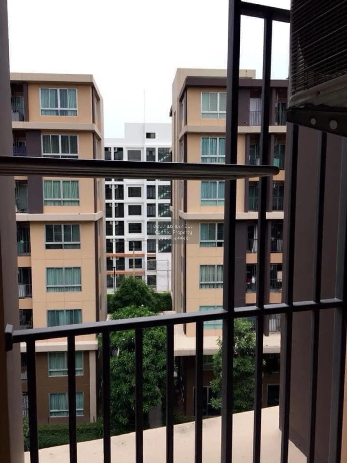 For Rent Condo , D Condo Campus Resort Rangsit , Khlong Nueng , k