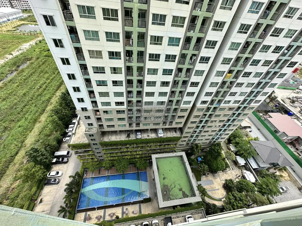 For Rent Condo , Lumpini Mega city Bangna , Bang Kaeo , Bang Phli